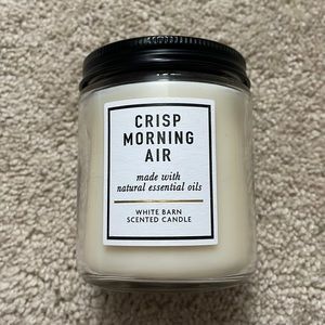 Crisp Morning Air single wick candle